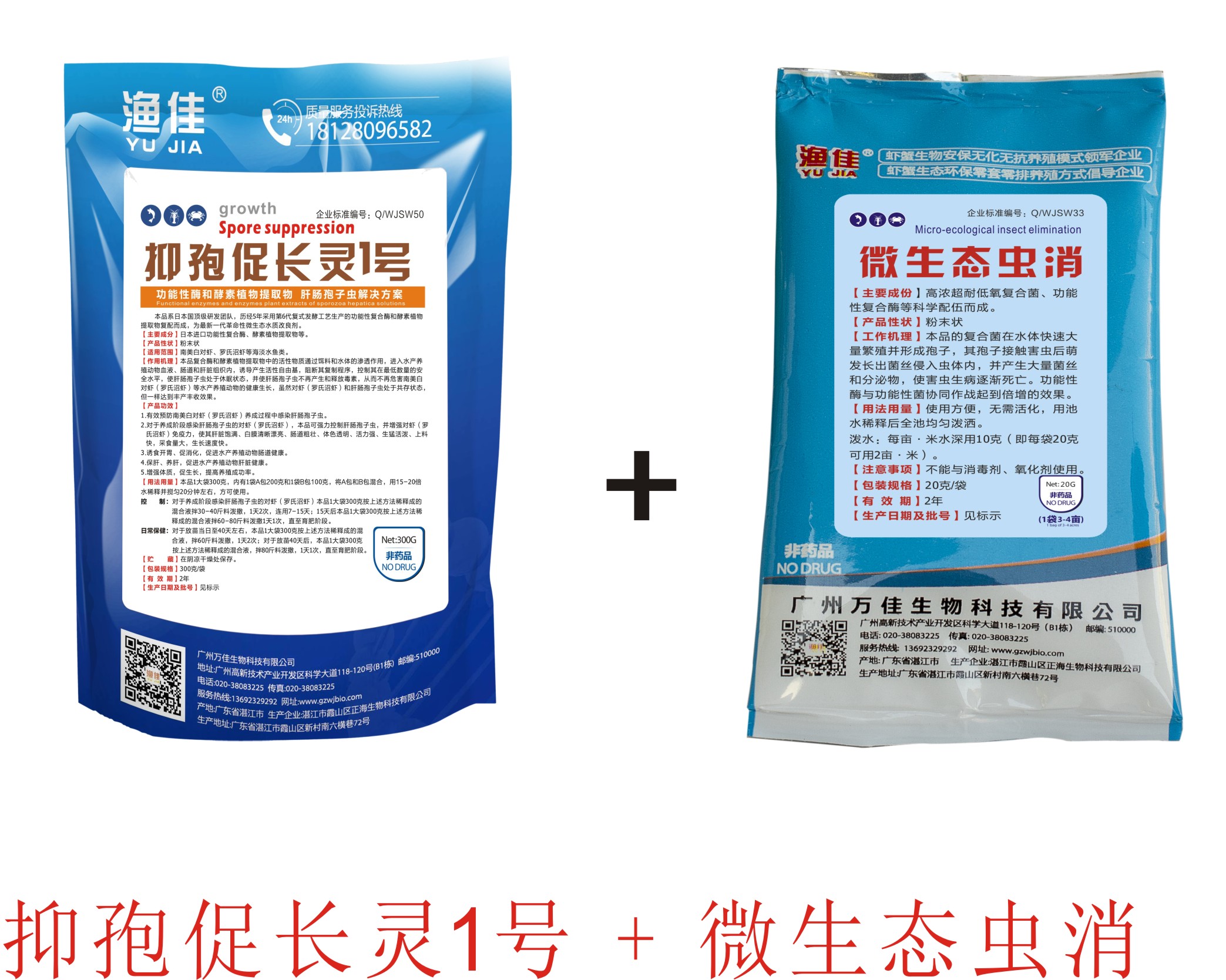 對(duì)蝦肝腸孢子蟲(chóng) 不用愁！
